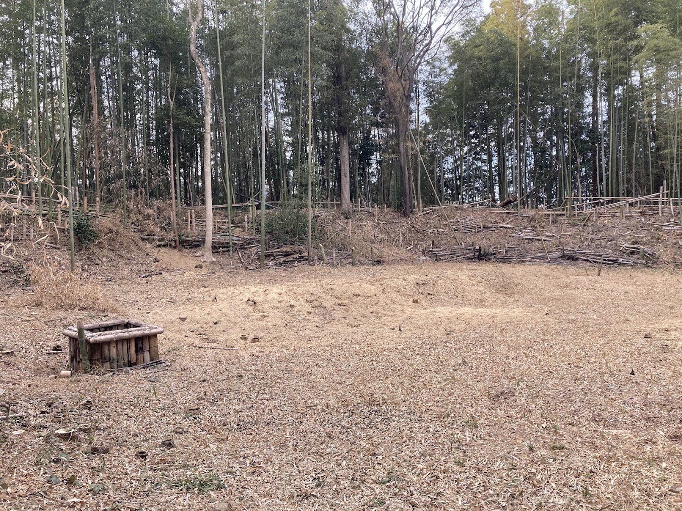 甲賀郡中惣遺跡群