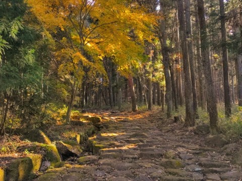 中山道木曽路