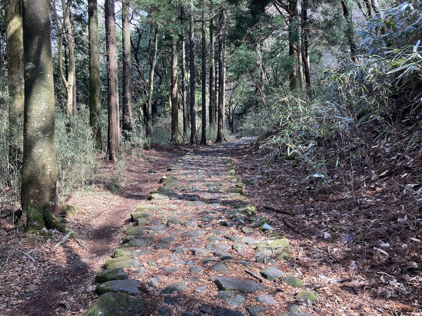 箱根峠